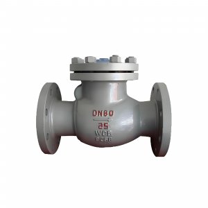 DN50 PN25 介質(zhì)：甲胺，溫度：80℃止回閥